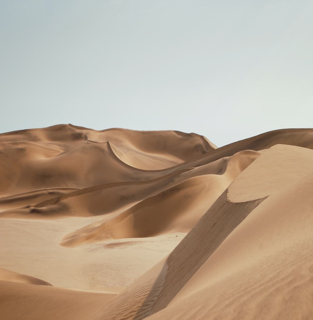 Founder's Point workflow planning session